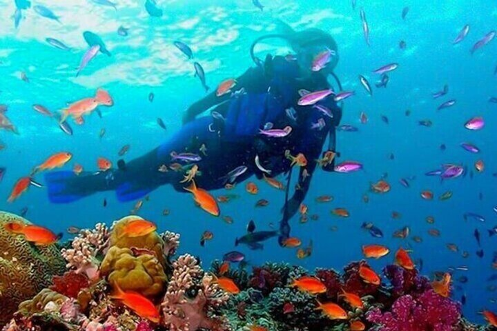 Guided Snorkeling in Negombo – Explore Marine Life & Coral Reefs - Photo 1 of 6